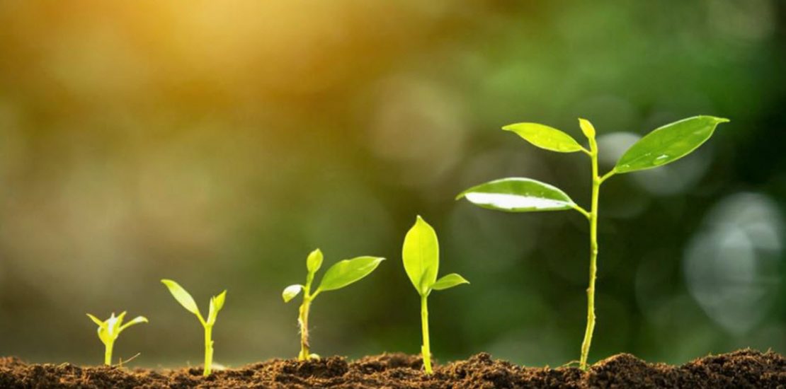 grow yourself marketing skills blog post